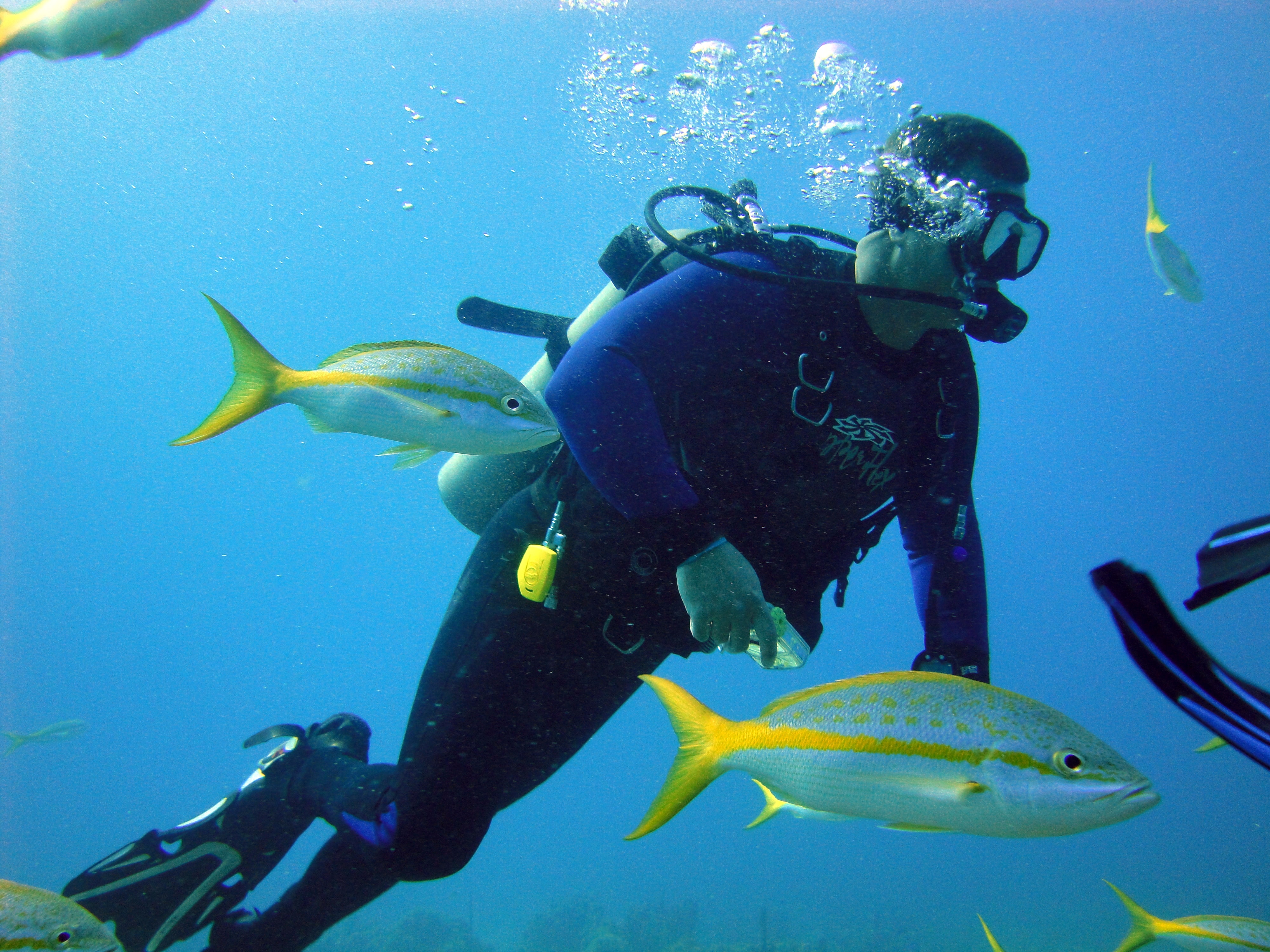 Underwater adventures