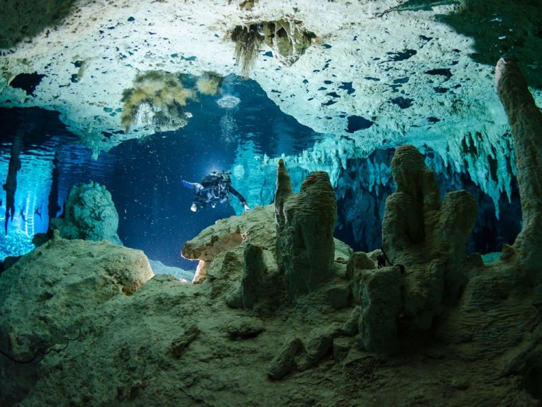 Freshwater cenote for scuba diving Freshwater cenote for scuba diving