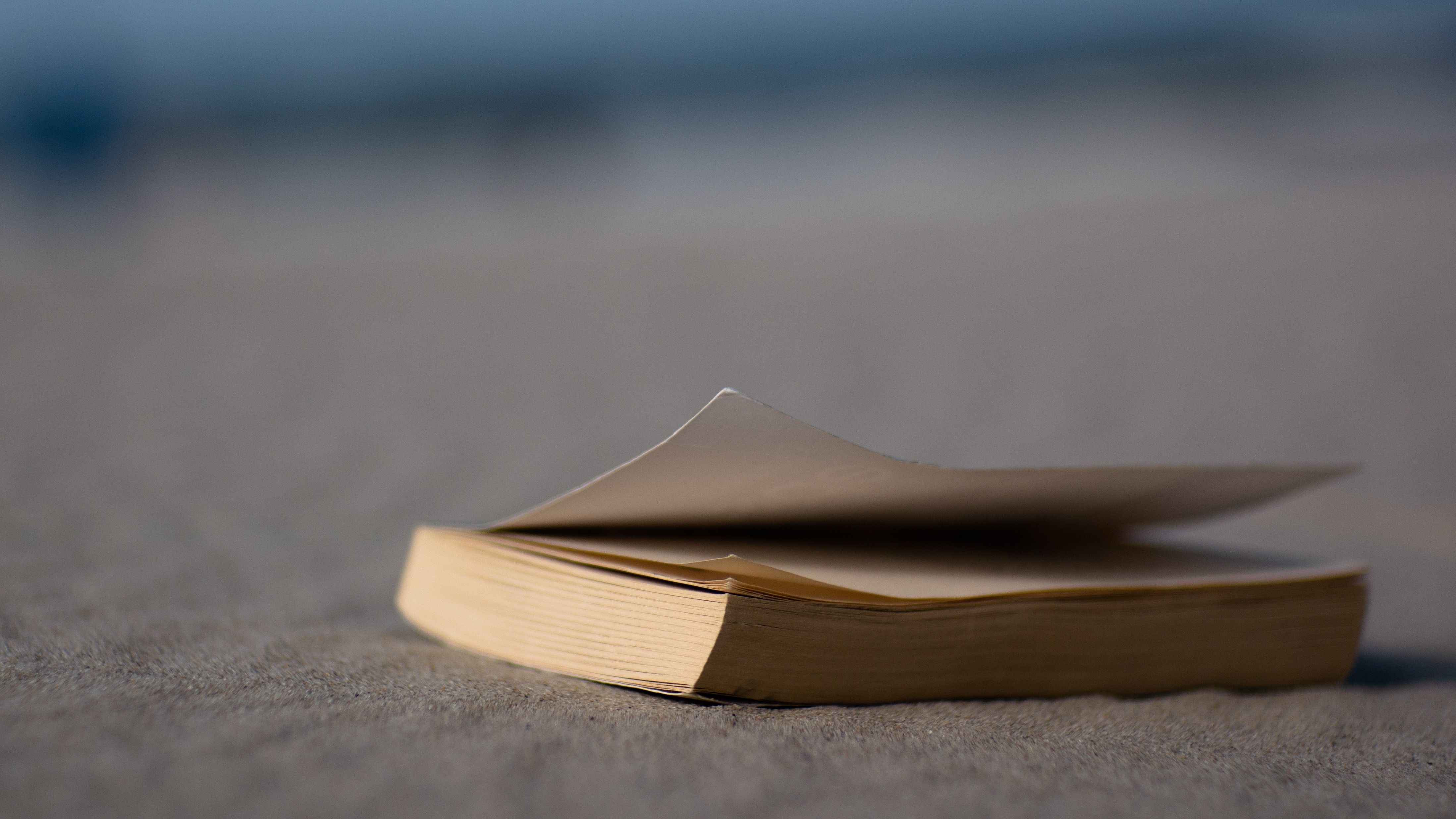 The perfect book to read on the beach in the Caribbean