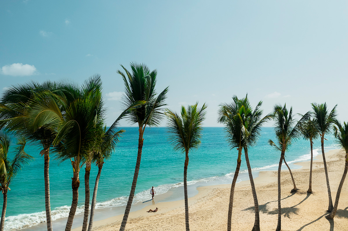 Dive Into the Clearest Water in the Caribbean and Discover Why It Is So Blue